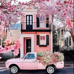 Meet your Posher, Vanessa